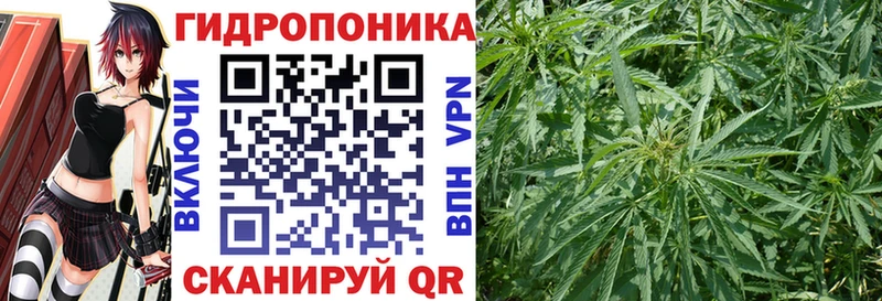 Купить наркотики Агрыз Гашиш  Cocaine  СК  Амфетамин  Меф 