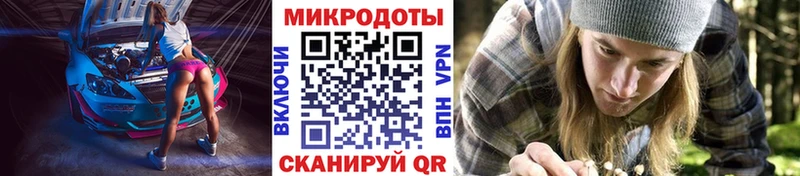 Псилоцибиновые грибы мицелий  omg tor  Агрыз 
